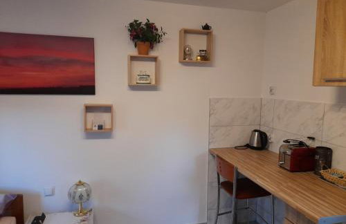 Alpaka-Ranczo AFF - Foto 12