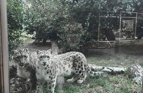 Appartamento fronte mare con terrazzo e parcheggio privato - Foto 38