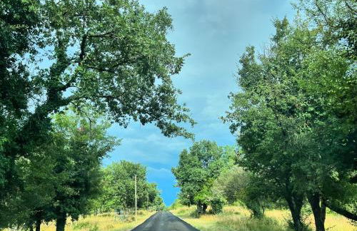 Mas Bohème - Logement climatisé - Photo 64