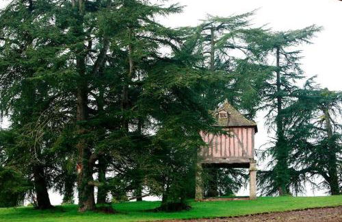 La Chartreuse et son Orangerie - Foto 25