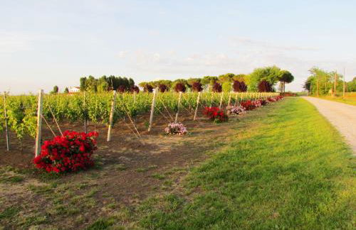 Agriturismo Le Cipressine - Foto 84