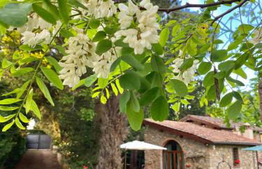 Berenice in Chianti - Authentic Tuscan Country House - Foto 31