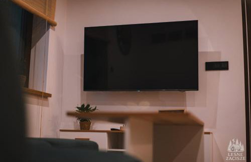 Leśne Zacisze - dom na wsi z grotą solną, sauną oraz balią ogrodową - Foto 21