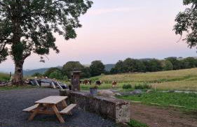 La ferme de Jouane - Photo 13