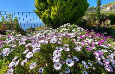 Casa de Prazeres - Foto 76