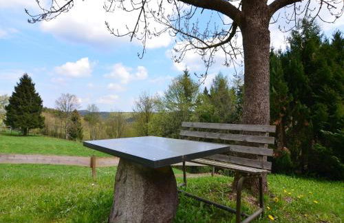 Small and Cozy Apartment in Frauenwald near Forest - Foto 32