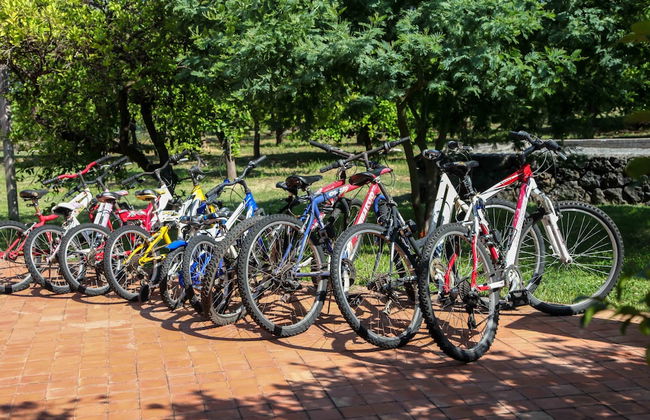 Agriturismo Galea - Foto 18