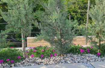 Luxury White Sails Villas with a Multi Sport Court and Sea View - Photo 44