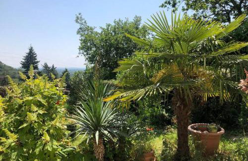 Le jardin suspendu - Foto 19