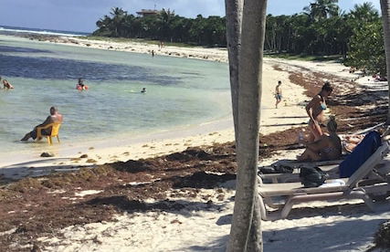 Yamil House - Foto 43