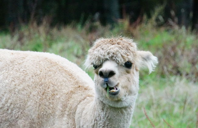 Silver Waters Lodge - Photo 50