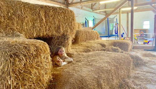 Ferienhof Utech - Foto 3