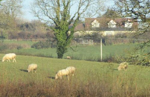 Penlan Farm Cottage - Foto 8