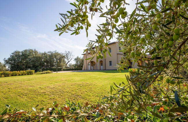 Tricolle Villa Nuova - Foto 2