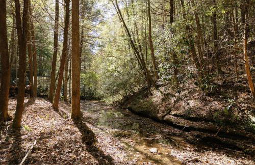 Modern Mirror Home w/ Hot-tub | “Glass House” #2 - Foto 21