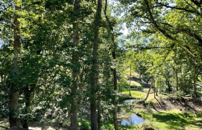 Luxury Cabin in the Woods - Foto 9