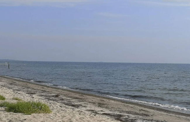 12 Person Holiday Home in Rodby - Foto 42