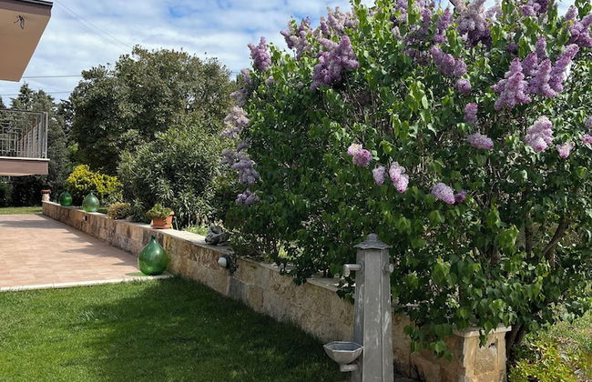 AgriBio Villa Ribes - Foto 51