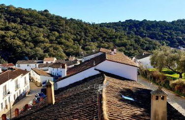 La Flor De La Xara - Foto 6