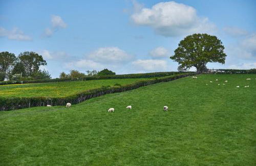 Holly Lodge - Foto 38