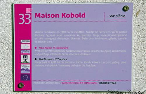 Maison Kobold XVIè siècle - Foto 48