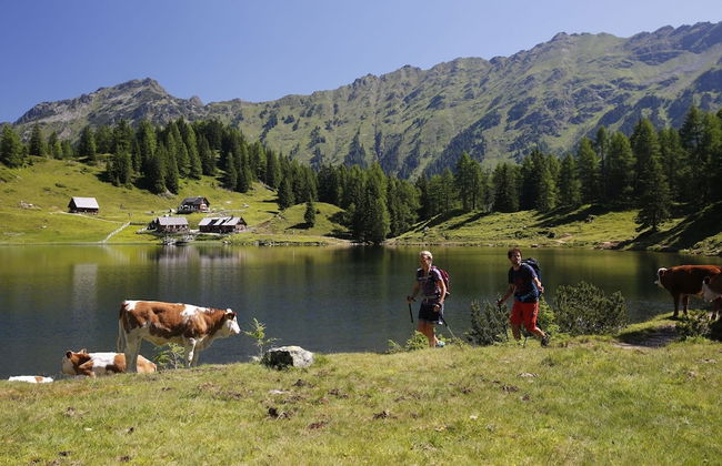 Superior 2 Schlafzimmer&Saunabereich - Foto 32