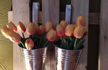 Rural Arco Iris - Foto 22