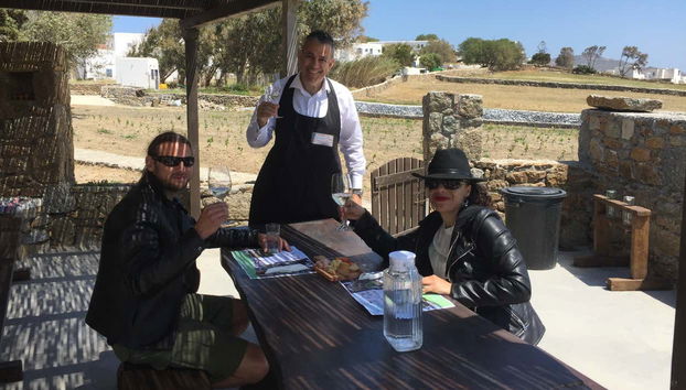 Degustaremos diferentes vinhos helênicos