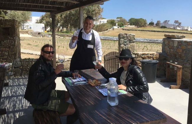 Cata de vinos en una granja de Mykonos - Foto 3