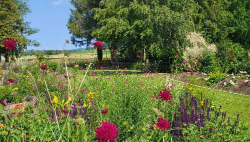 Komfort Ferienwohnungen mit Wellness-Garten - Gästehaus am Bachlauf - Losheim am See - Foto 4, Garden, Garden view