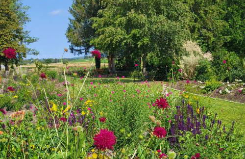 Komfort Ferienwohnungen mit Wellness-Garten - Gästehaus am Bachlauf - Losheim am See - Foto 4