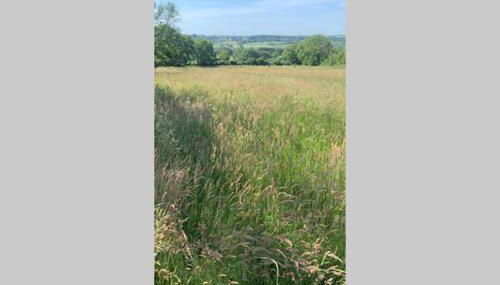 Apple Tree Hut - Photo 3