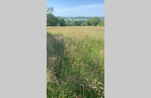 Apple Tree Hut - Photo 3