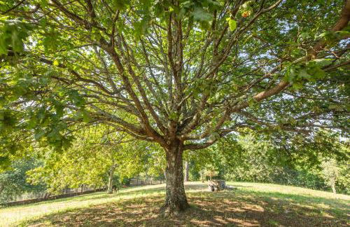 Casa Castel'Rei - Photo 37