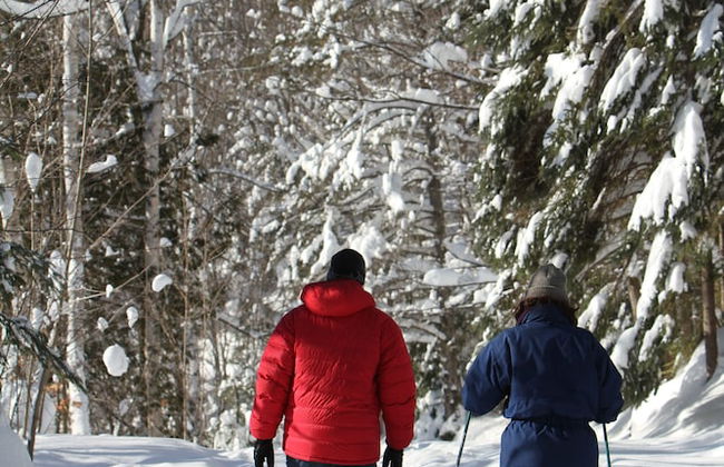 Les Chalets du Trappeur - Photo 19
