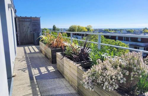 Le nid - Foto 59