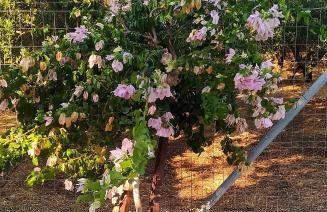 Mareliva Retreat - Foto 10