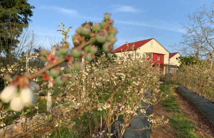 Quinta Vale Salgueiro - Foto 42