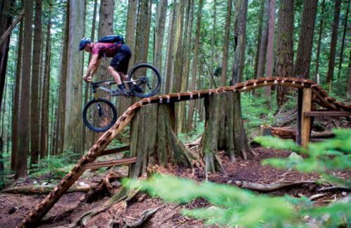 Epic Views, 9Mi SR, GameRmTheater, HTub, Sauna - Foto 77