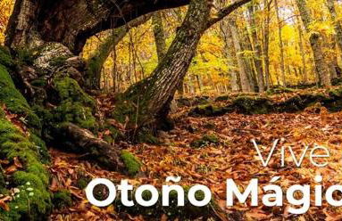 AT Rural NAVALINDA - Foto 24