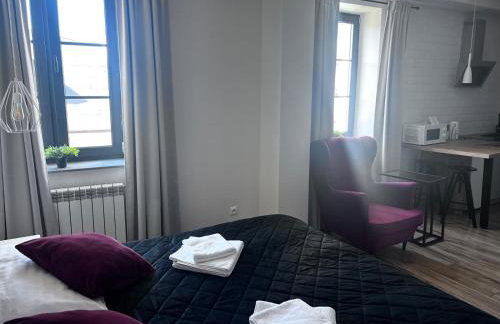 Apartamenty Łowicz - Foto 50