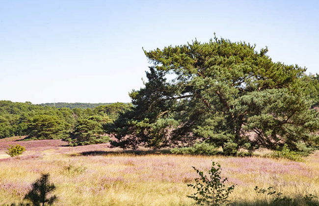 2 bedroom House in Brunssum with terrace - Photo 17