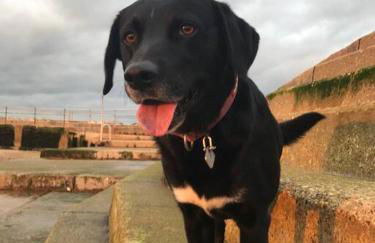 Harbour Walk - Foto 15