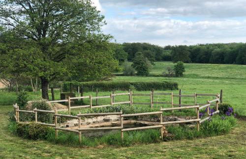 Mare aux nénuphars - Foto 14