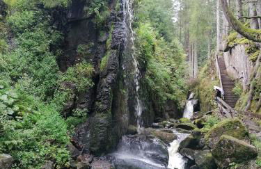 Ferienwohnung Schwarzwaldnest Feldberg - Foto 35