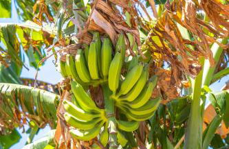 Refúgios Parajuru - Photo 21