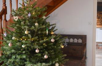 La Ferme de Penanguer - Foto 52