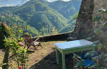 Splendida vista - Foto 6