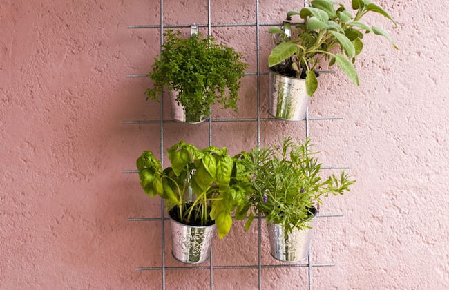 Apartments Silver Tree - Foto 49