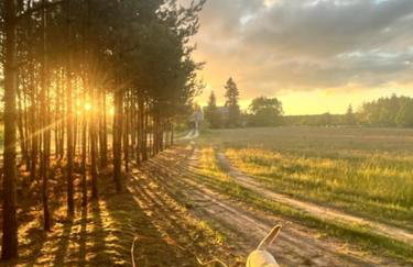 Blue Lake Villa - Foto 44